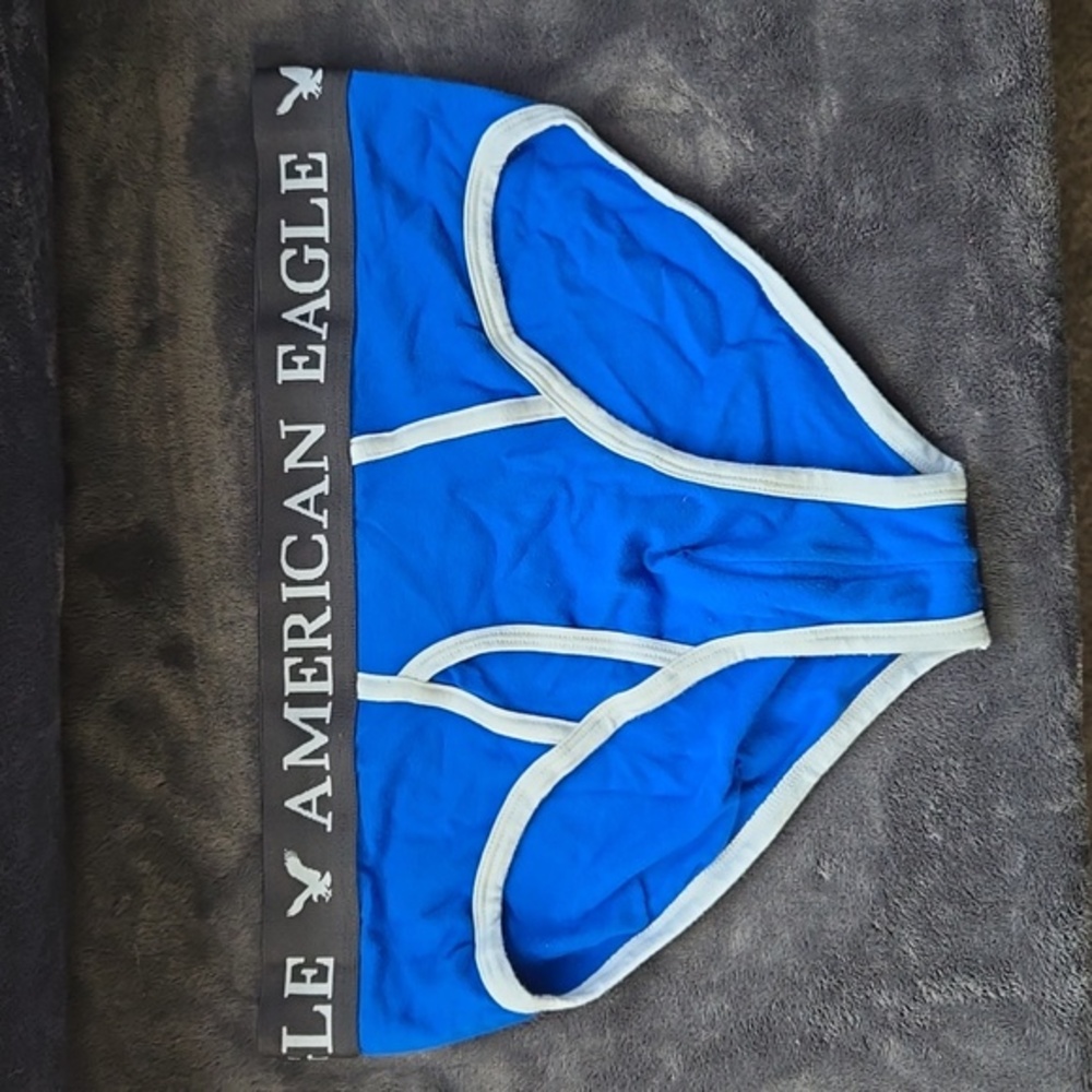 Vintage RARE American Eagle Briefs w/Fly - Blue/White